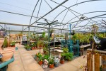 Images for Primrose Hill Garden Centre And Café , Asmall Lane, Ormskirk, Lancashire