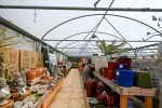 Images for Primrose Hill Garden Centre And Café , Asmall Lane, Ormskirk, Lancashire