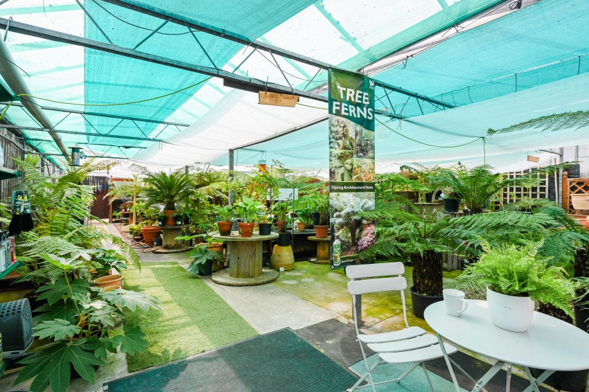 Images for Primrose Hill Garden Centre And Café , Asmall Lane, Ormskirk, Lancashire