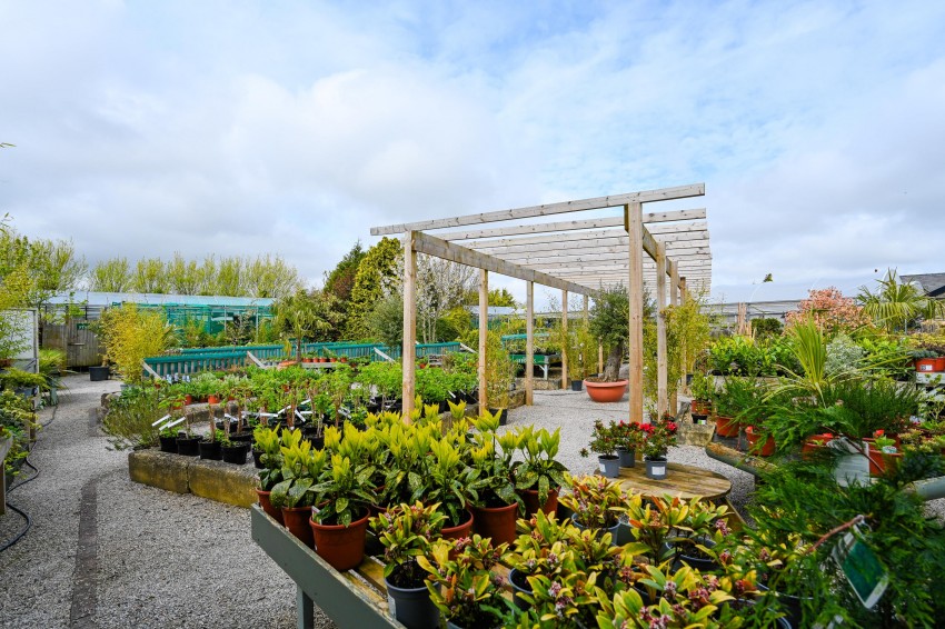 Images for Primrose Hill Garden Centre And Café , Asmall Lane, Ormskirk, Lancashire